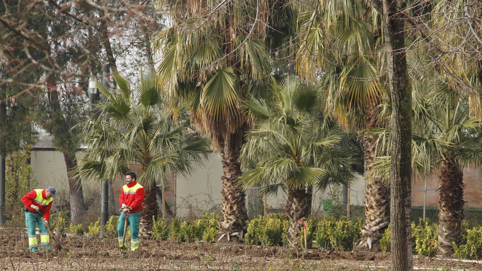 Operarios de jardinería trabajan en un parque de Granada