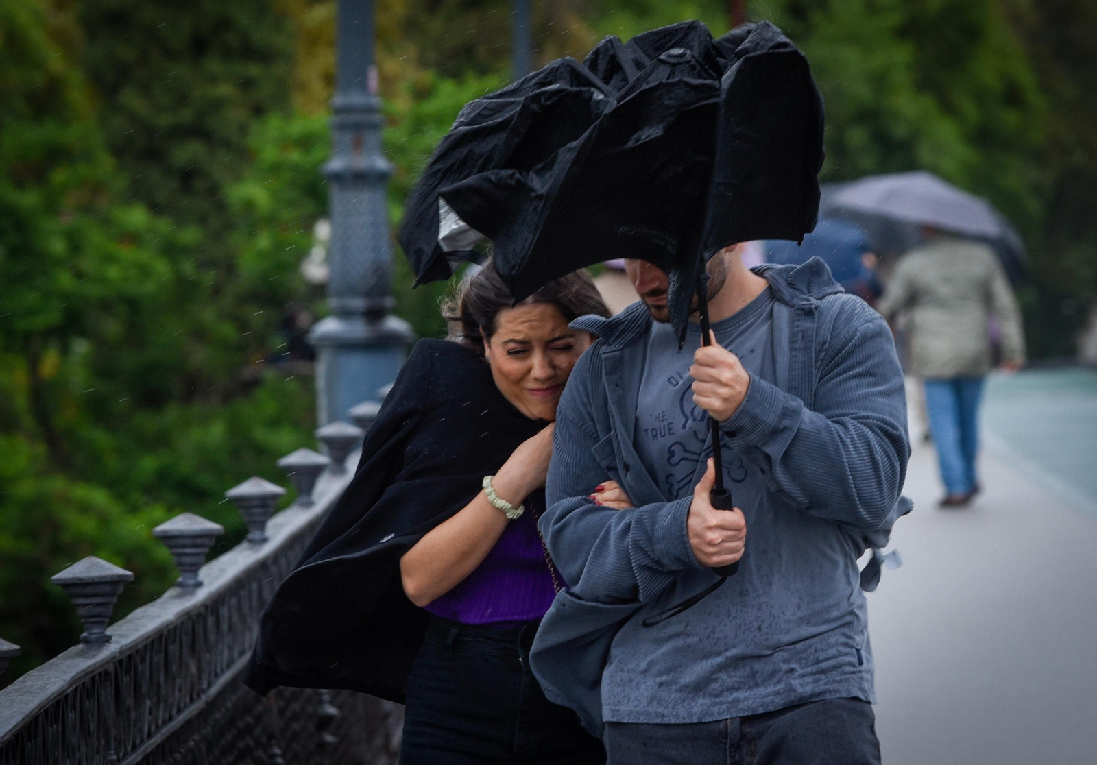 Imágenes del temporal de lluvia y viento en Sevilla