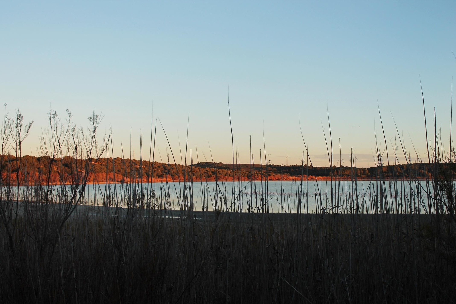 La laguna de Medina