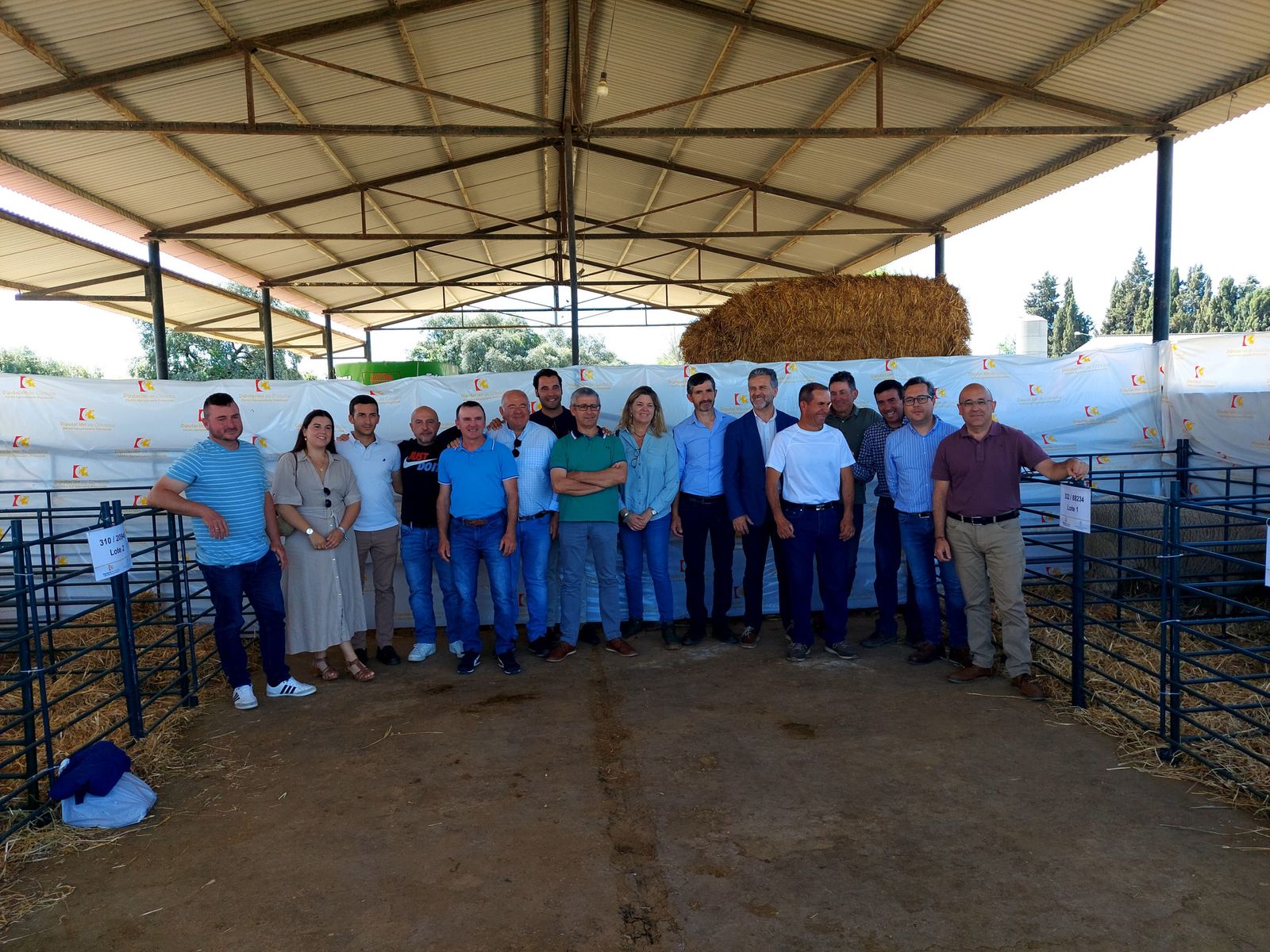 Sorteo de once sementales de raza ovina Merina 'Fleischschaf'.