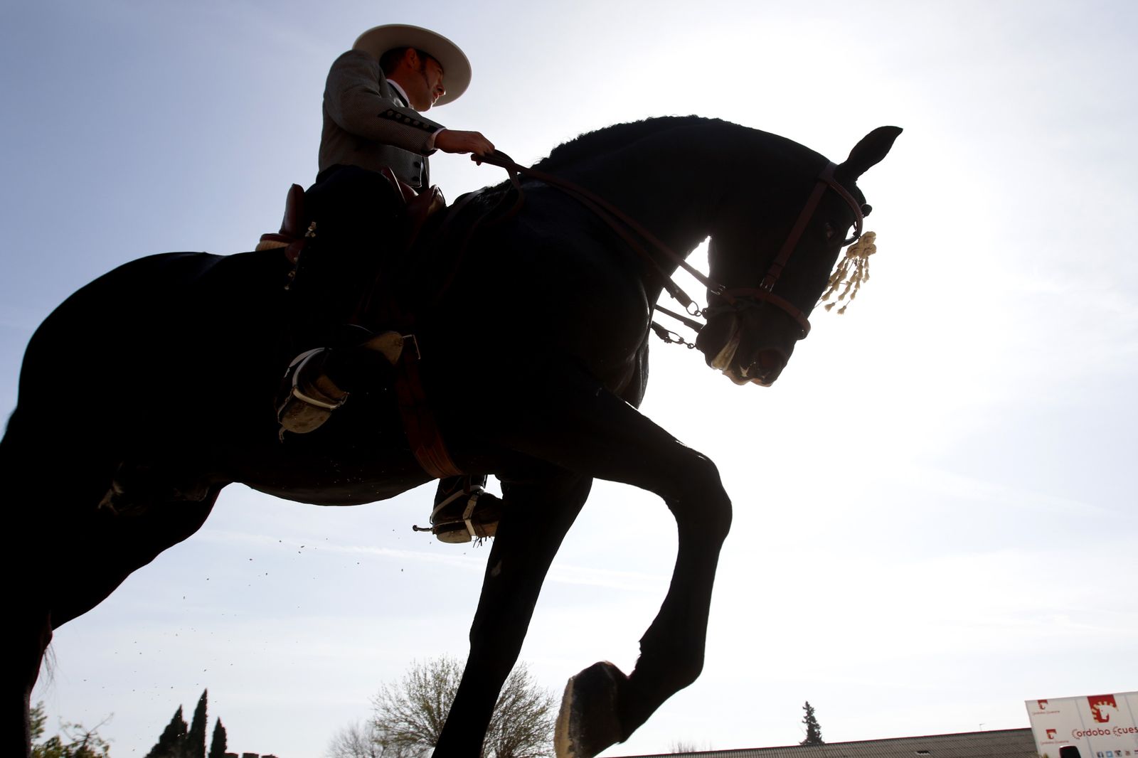 La marcha hípica por el 28-F en Córdoba, en fotos