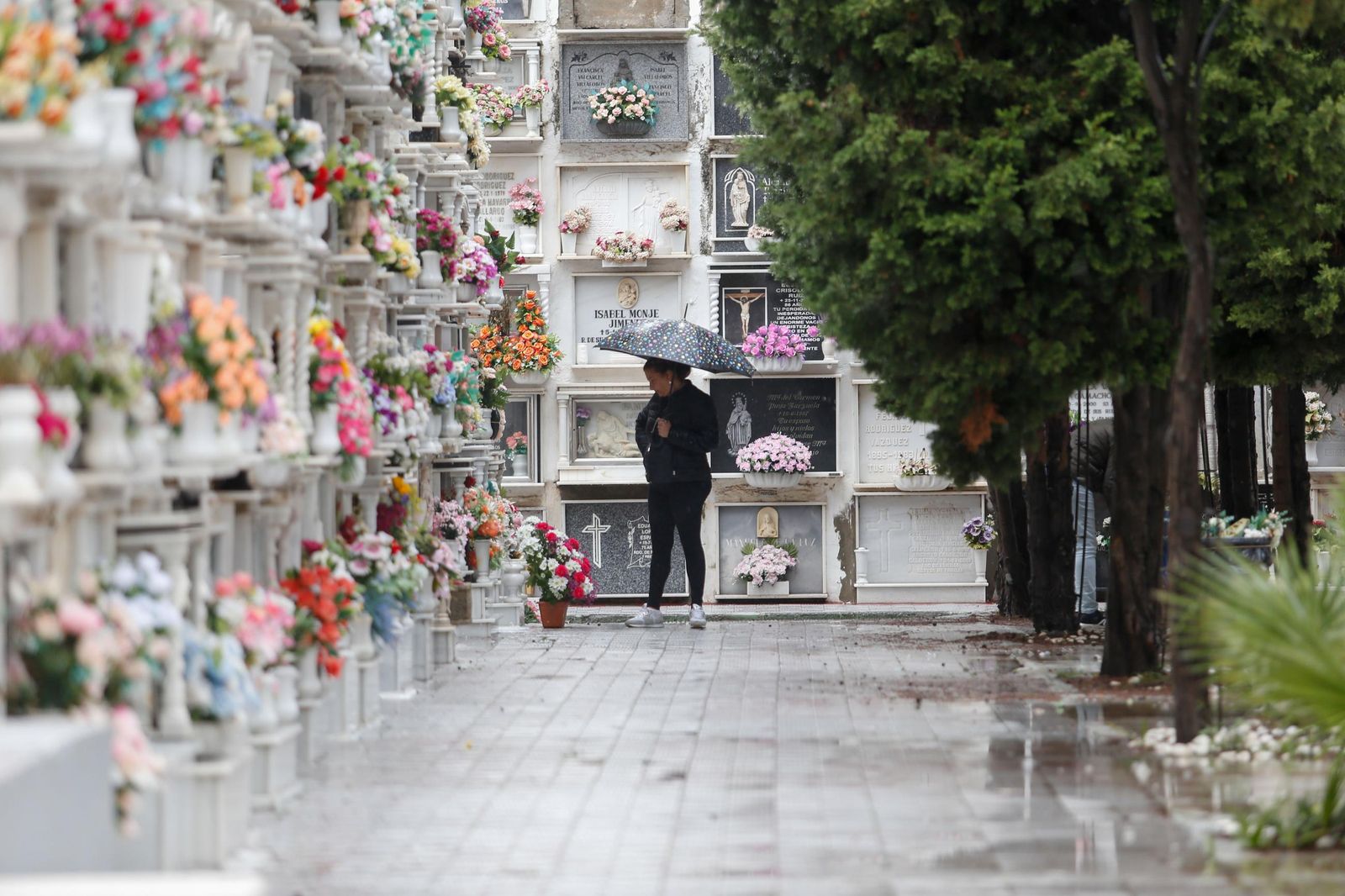 Fotos de los preparativos en el cementerio de La Línea por el Día de Todos los Santos