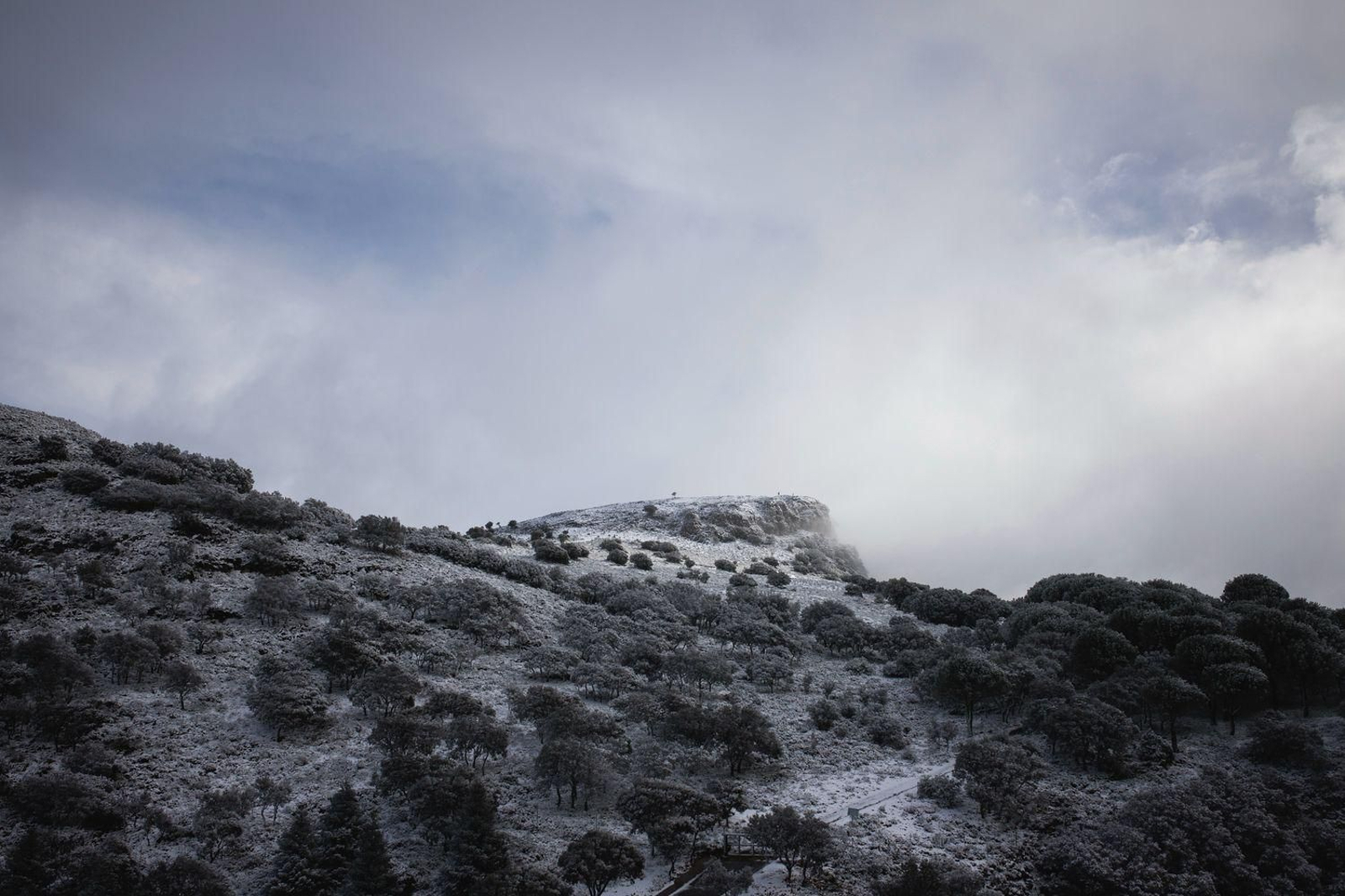 Imágenes de nieves en la Sierra de Cádiz este Martes Santo
