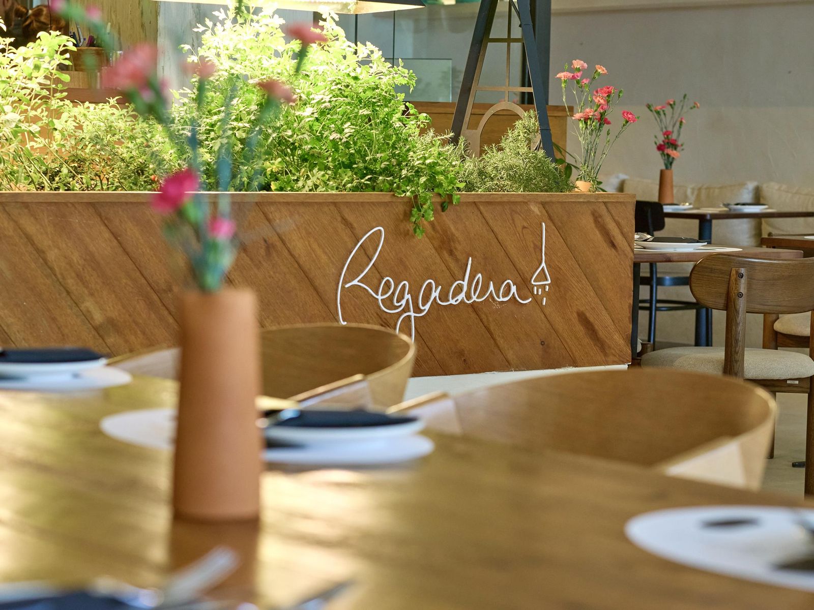 Mini huerto de plantas aromáticas en Regadera