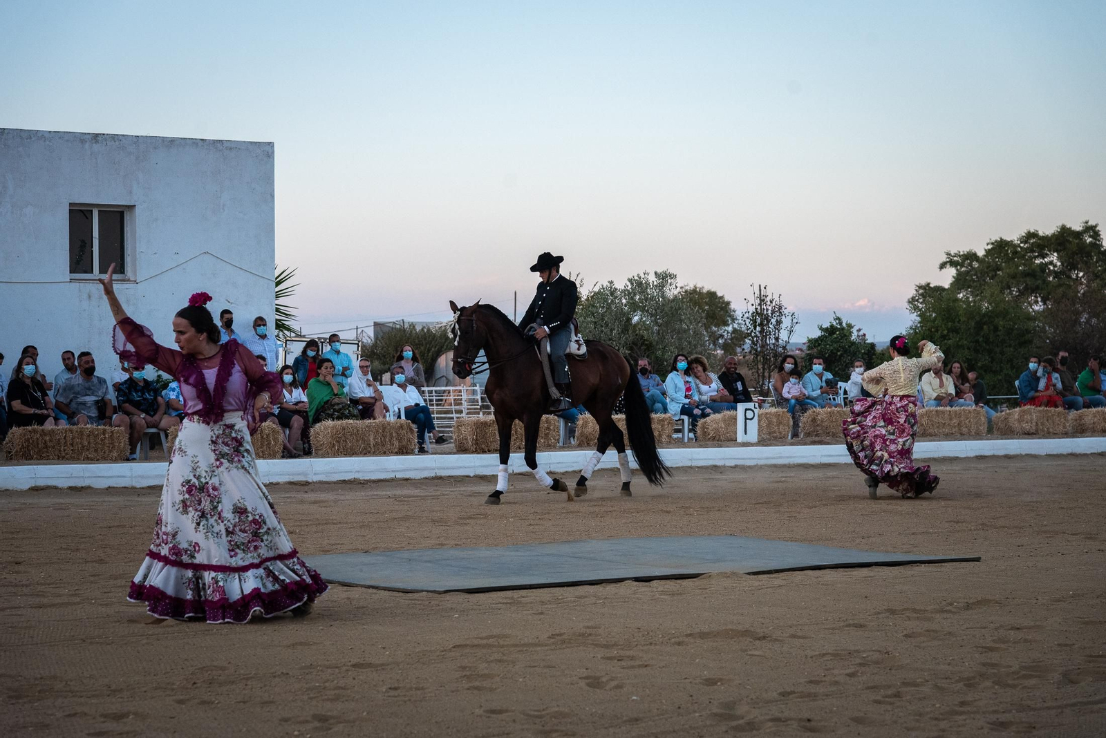 El espectáculo Flamencab en imágenes
