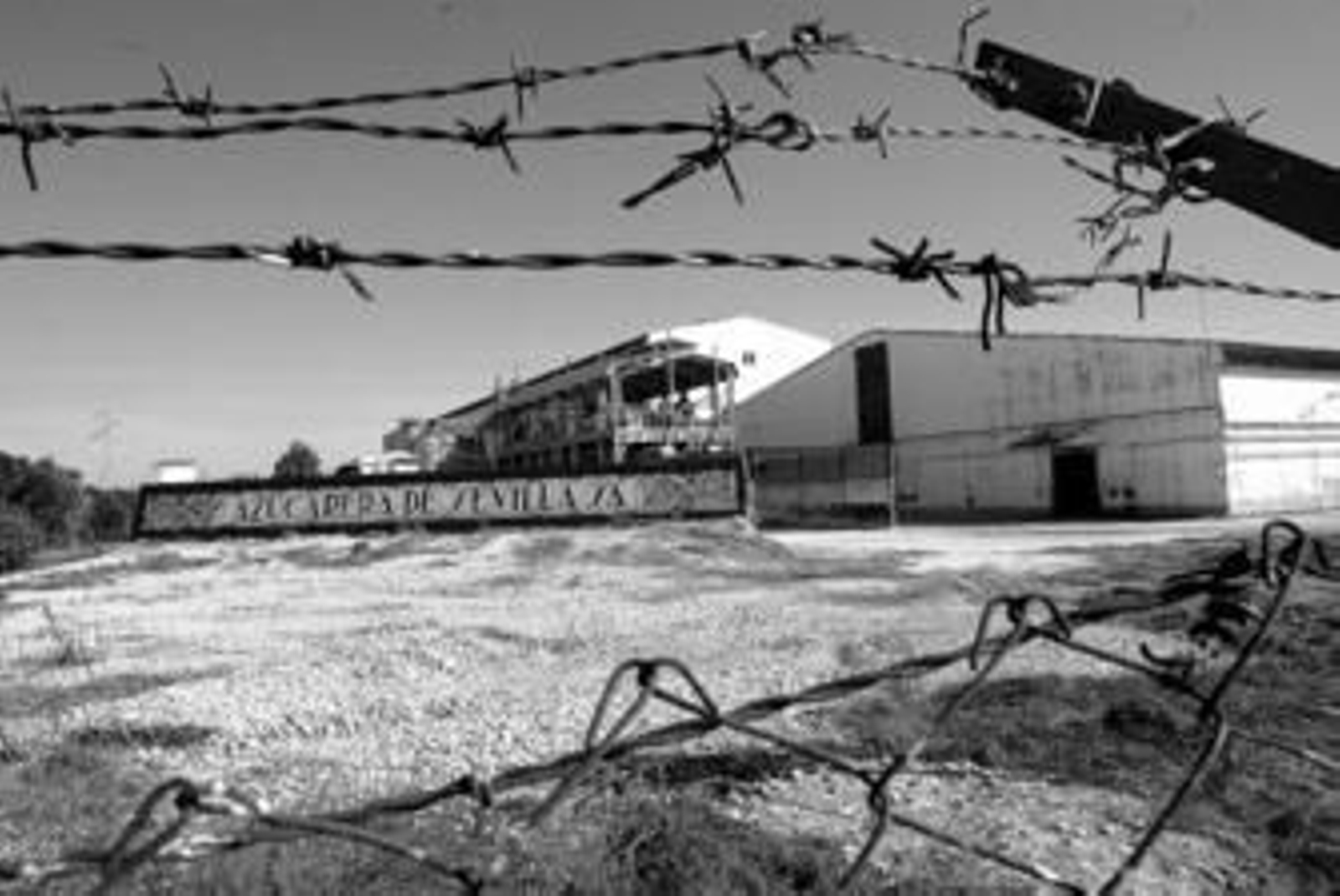 Aspecto fantasmagórico que presenta la ya la antigua azucarera de Guadalcacín.