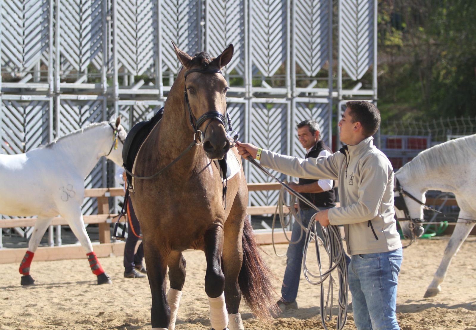 Sicab calienta motores.