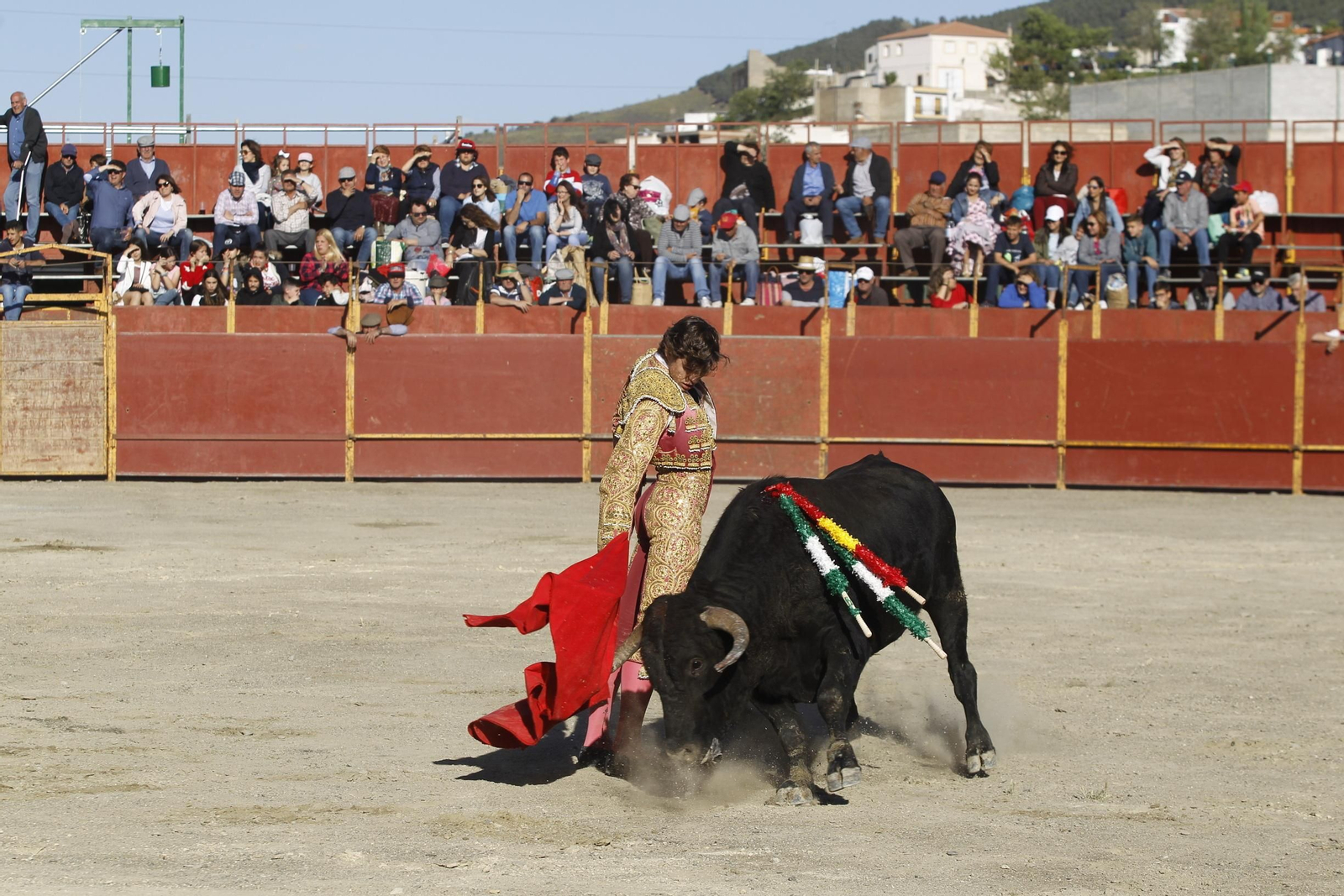 Fotogalería Novillada Fiestas de Abrucena