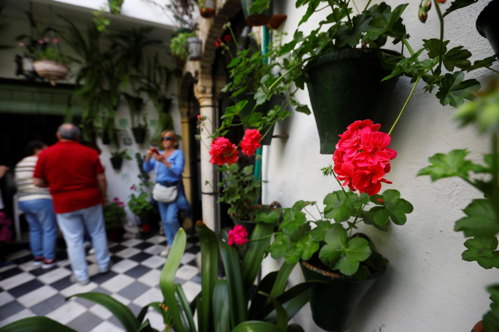 Los patios de Córdoba de la ruta Judería-San Francisco, en imágenes