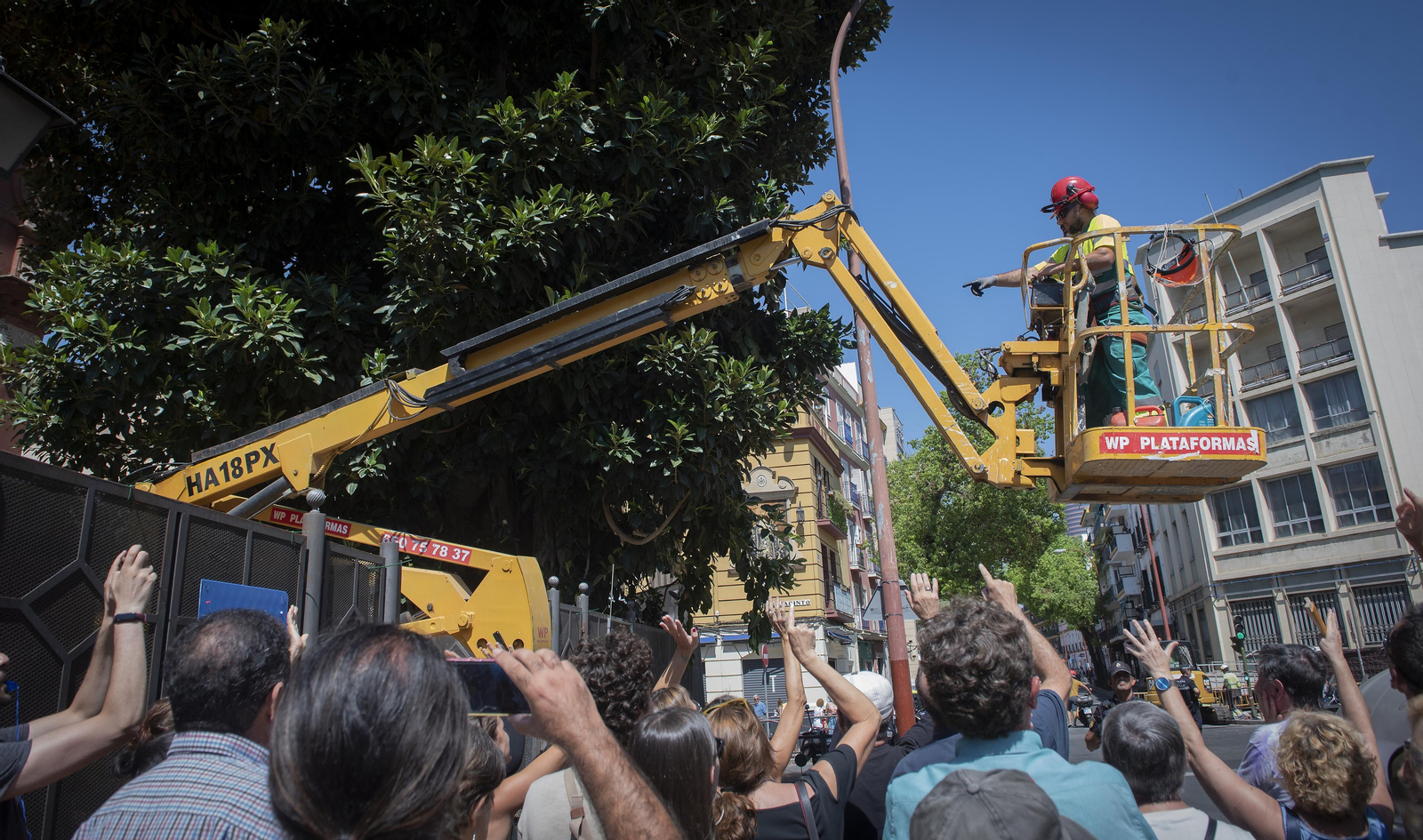 Las imágenes de la protesta de vecinos de Triana por el inicio de la tala de un ficus de 1913