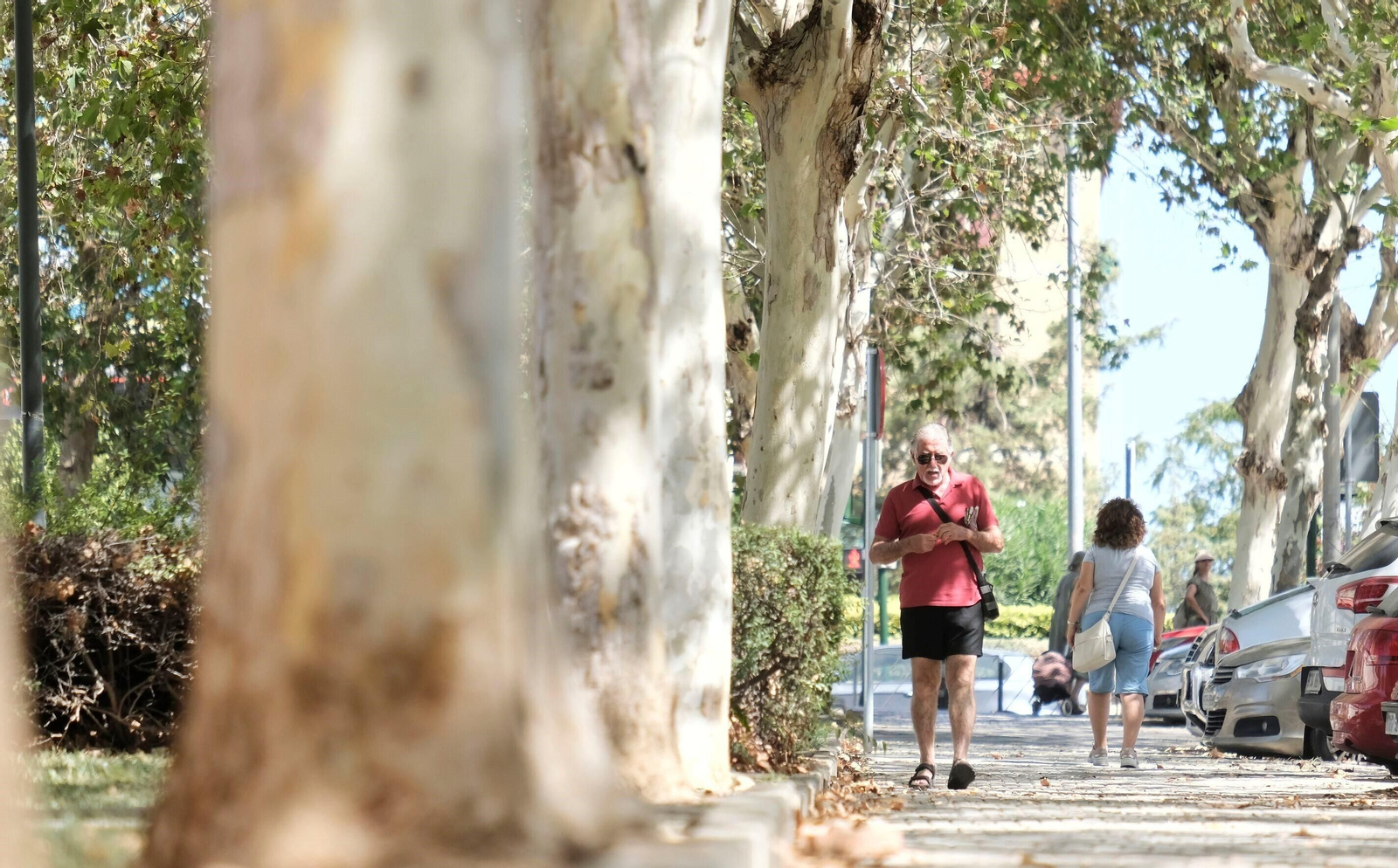 Un día de agosto en el barrio cordobés de Fátima, en imágenes