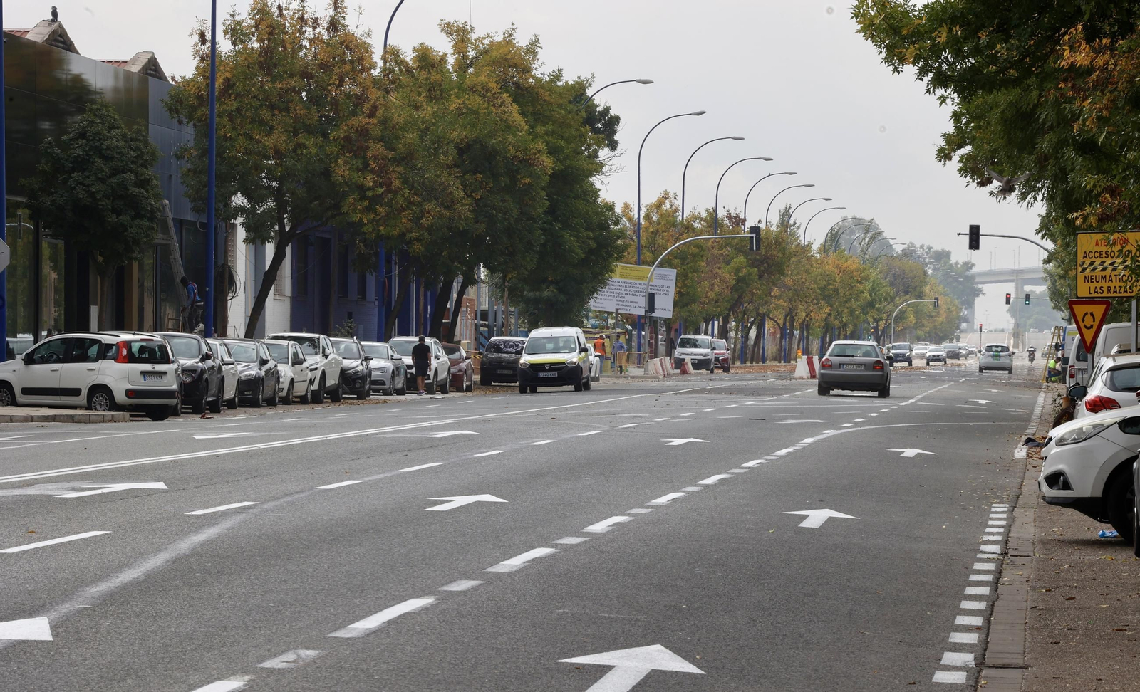 Apertura al tráfico de la Avenida de Las Razas