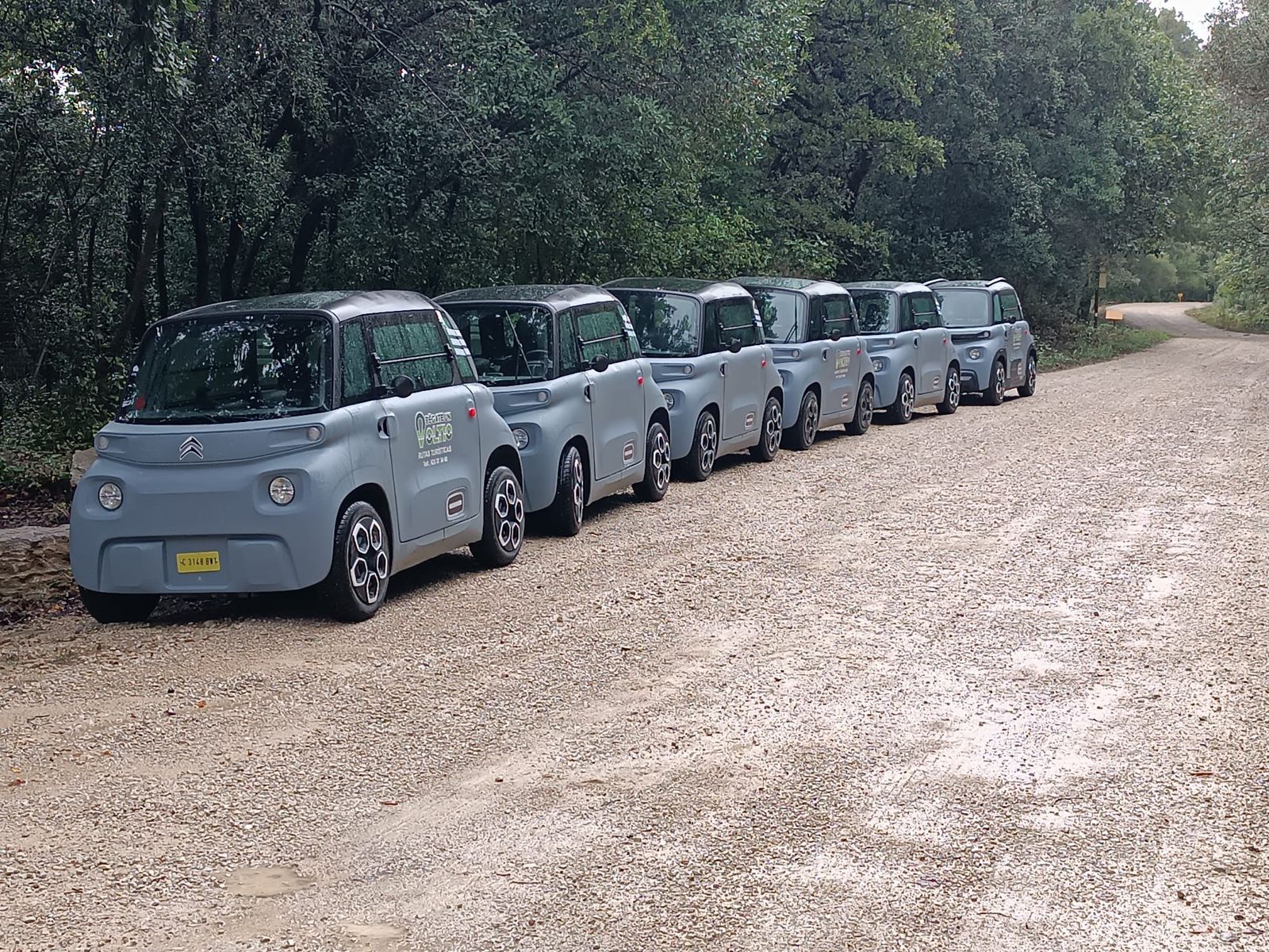 Buggies de 'Pégate un voltio' en una ruta por Los Alcornocales