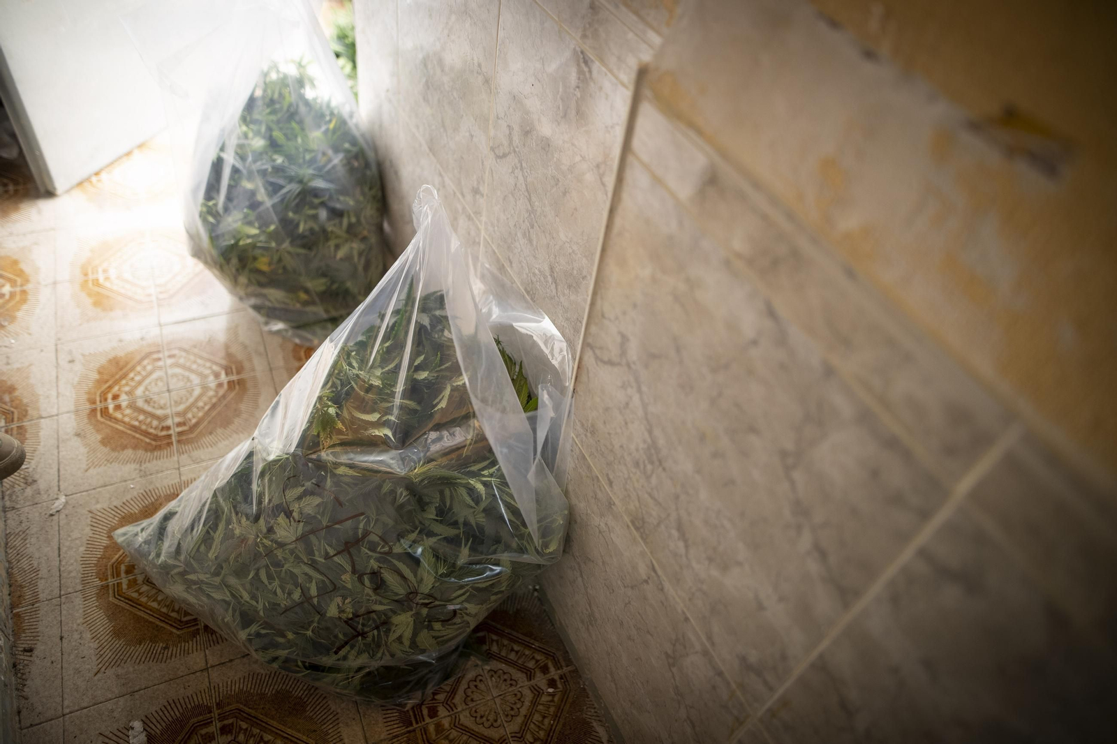 Fotos: un día de lucha contra la marihuana en Granada con la Guardia Civil de Pinos Puente