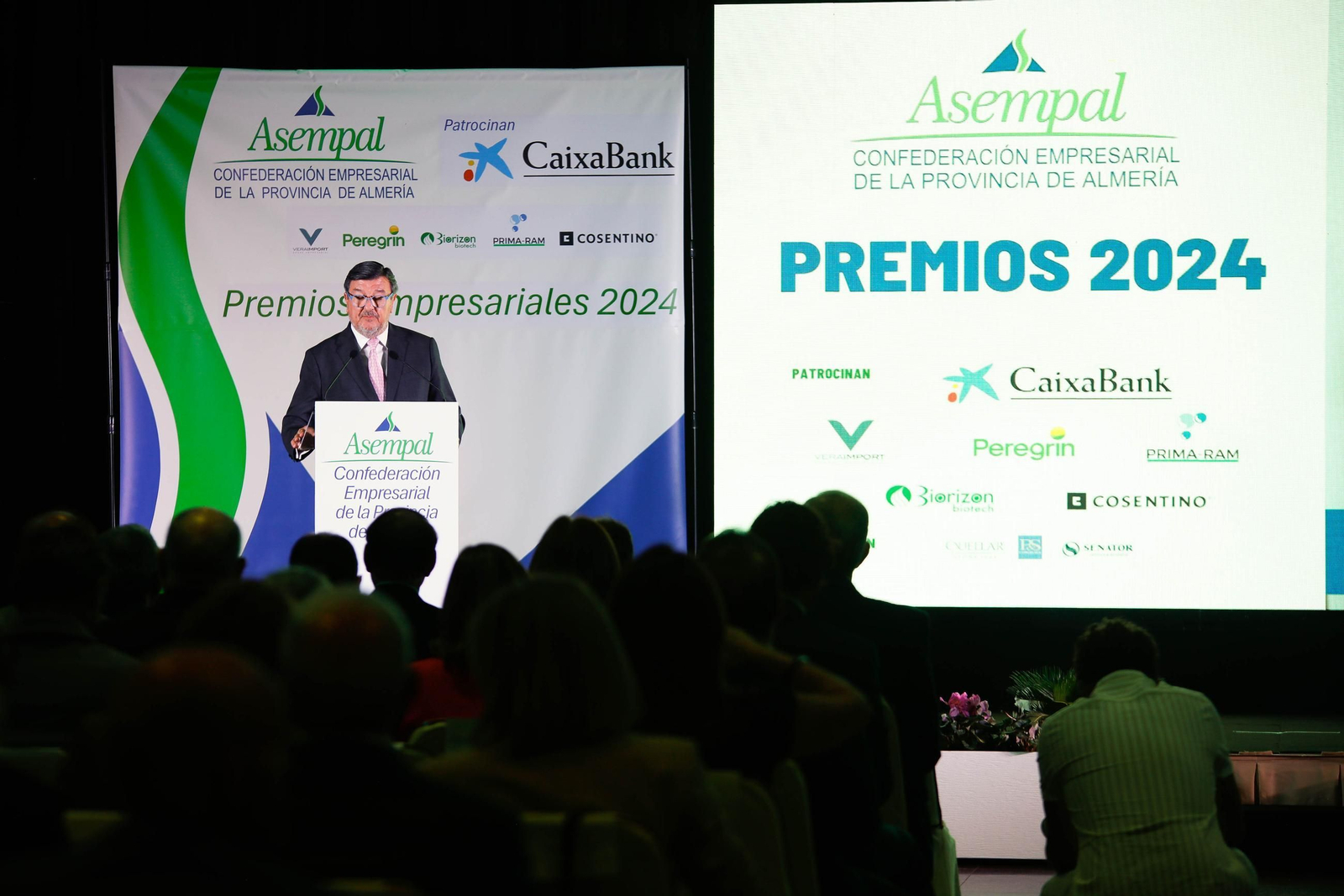 Los premios ASEMPAL 2024 de Almería, en imágenes
