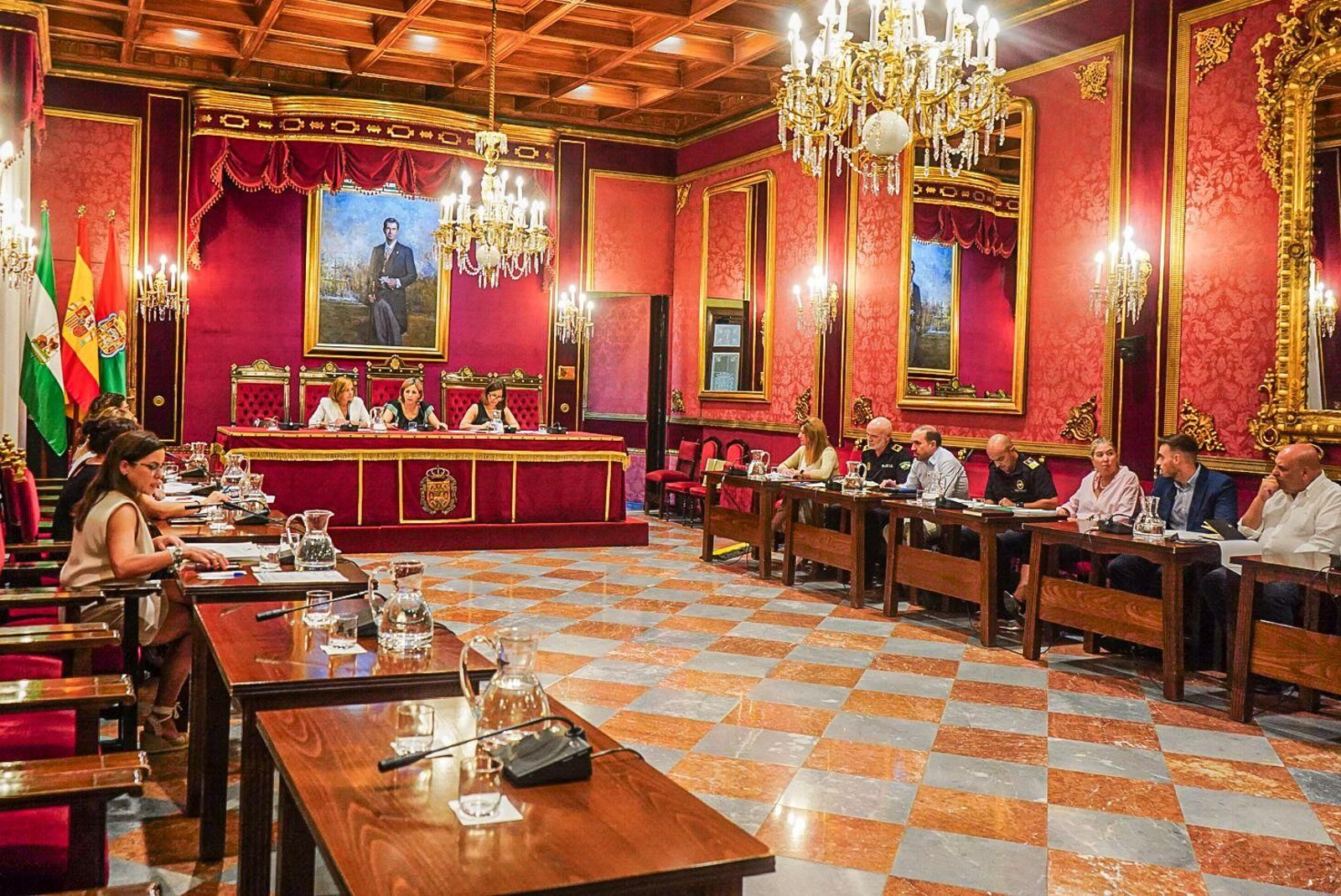 Imagen de la Comisión de Protección Ciudadana, Educación, Política Social y Familia celebrada este martes