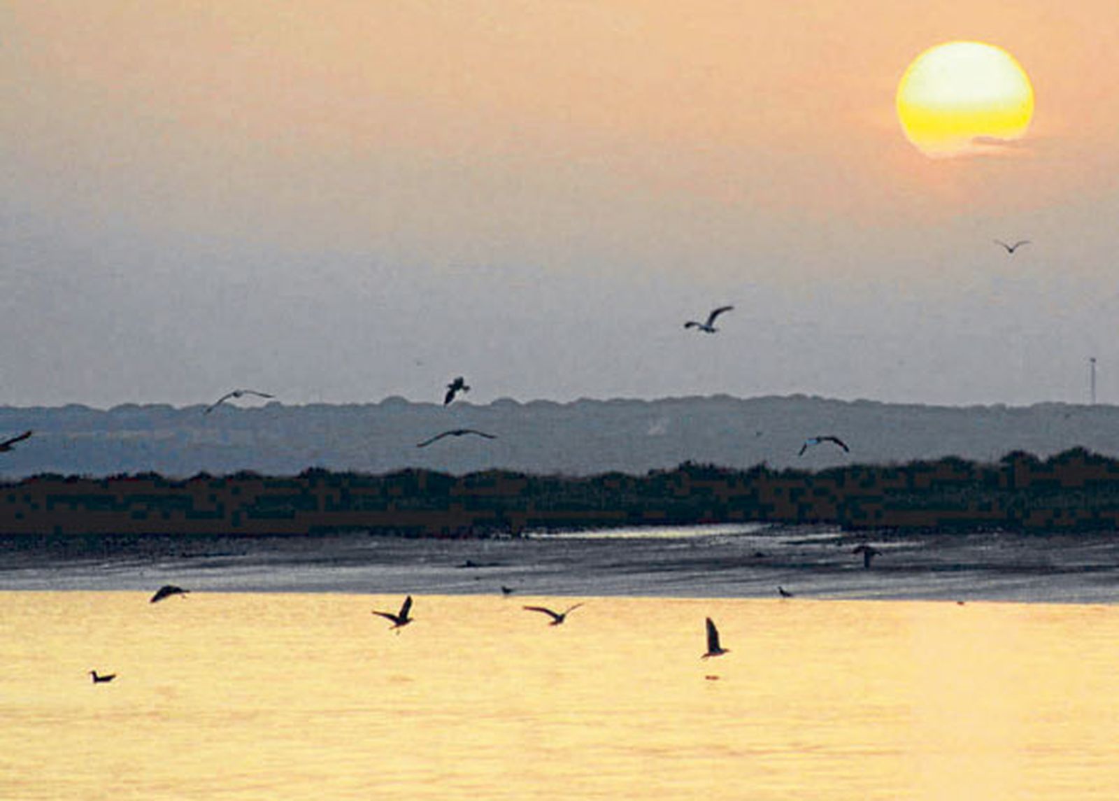 Un atardecer a bordo de un barco