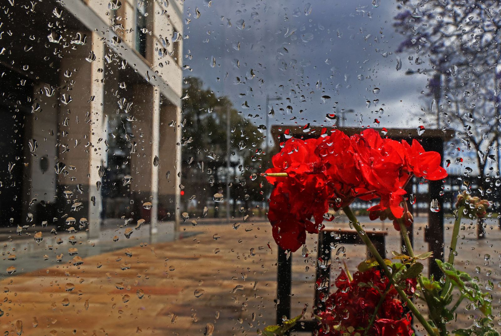 Las imágenes más destacadas del martes 30 de abril en Huelva