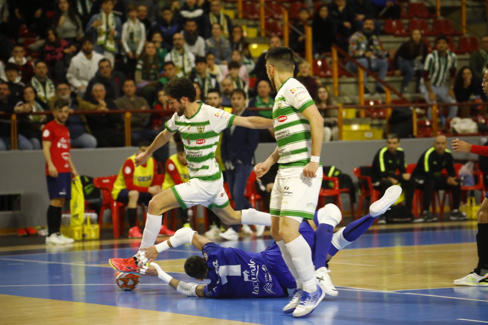 La victoria del Córdoba Futsal ante el Osasuna Magna, en imágenes