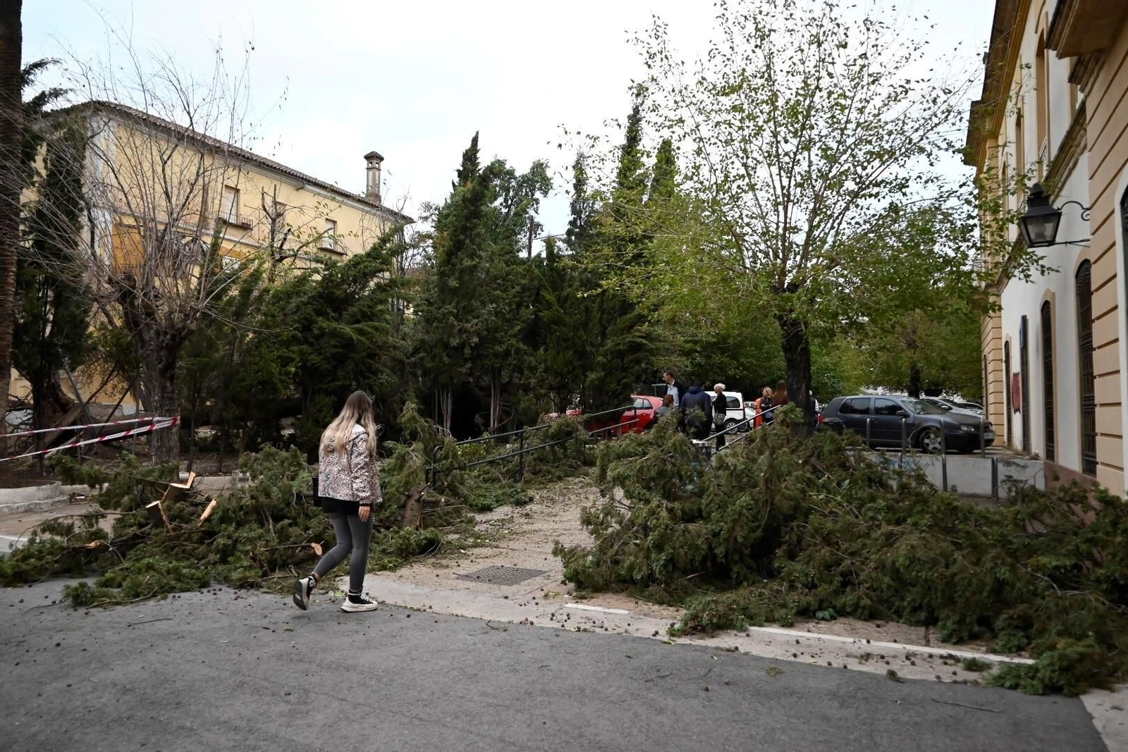 Los daños causados por la borrasca Bernard en Córdoba, en imágenes