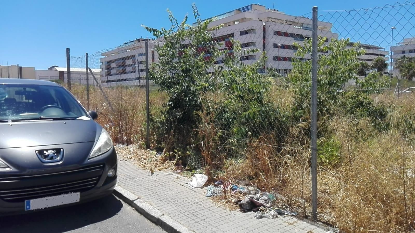 Una de las parcelas de la zona conocida como Jardín de Cano, cuyos vecinos piden que sea desbrozada y limpiada.