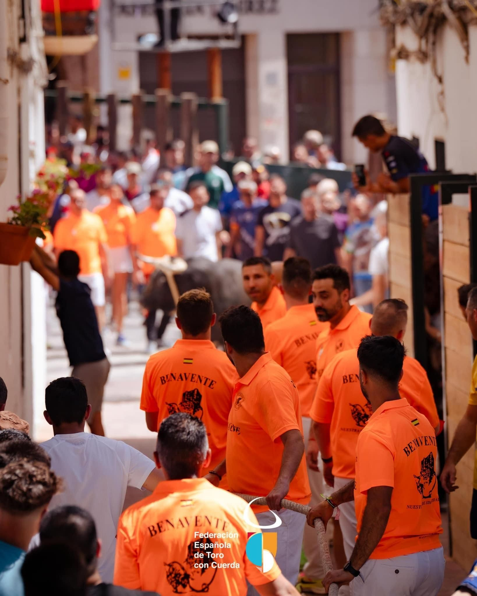 Así transcurrió la segunda jornada del Congreso Nacional de Toro de Cuerda, en imágenes