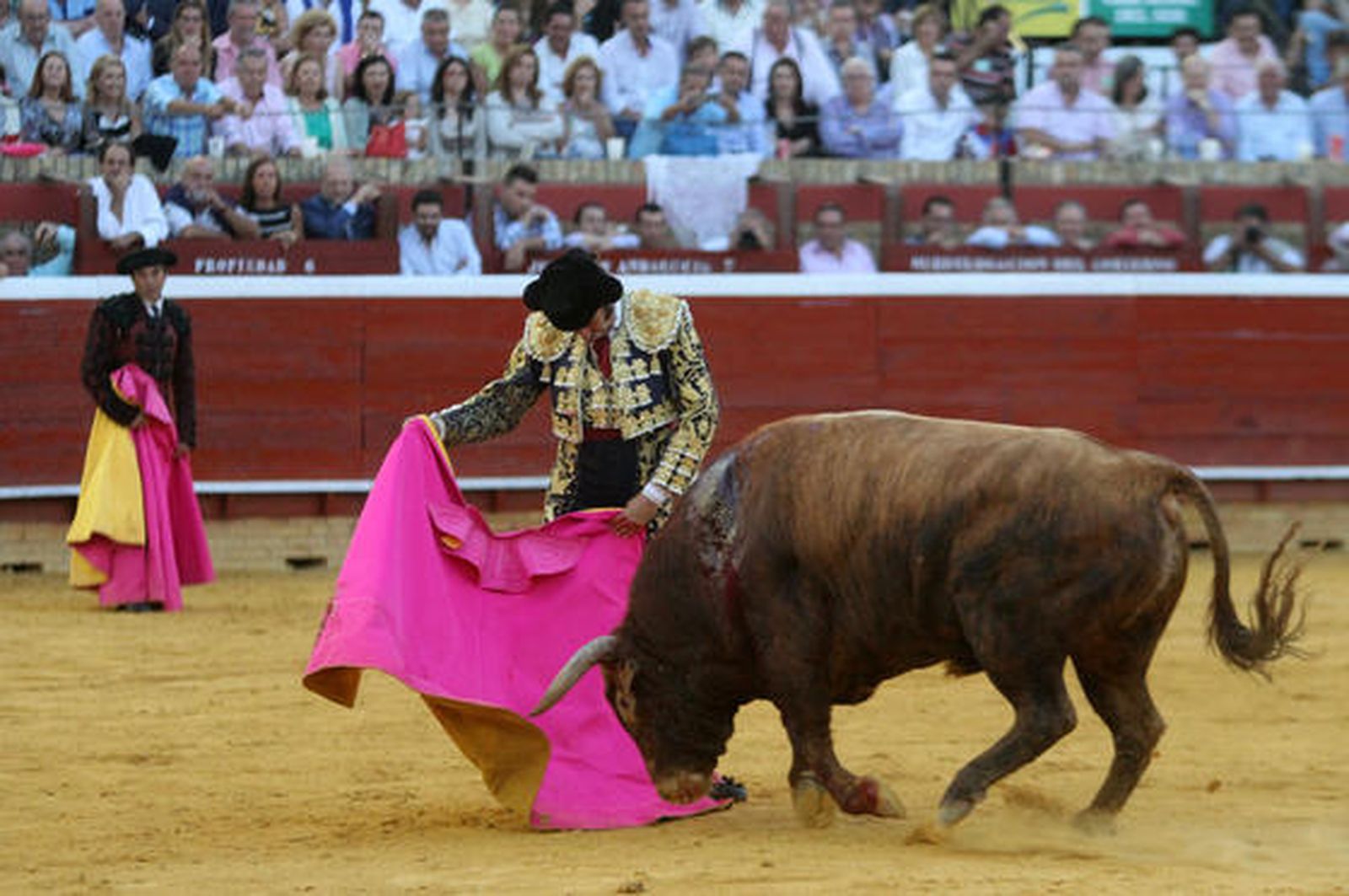 Foto: Alberto Domínguez