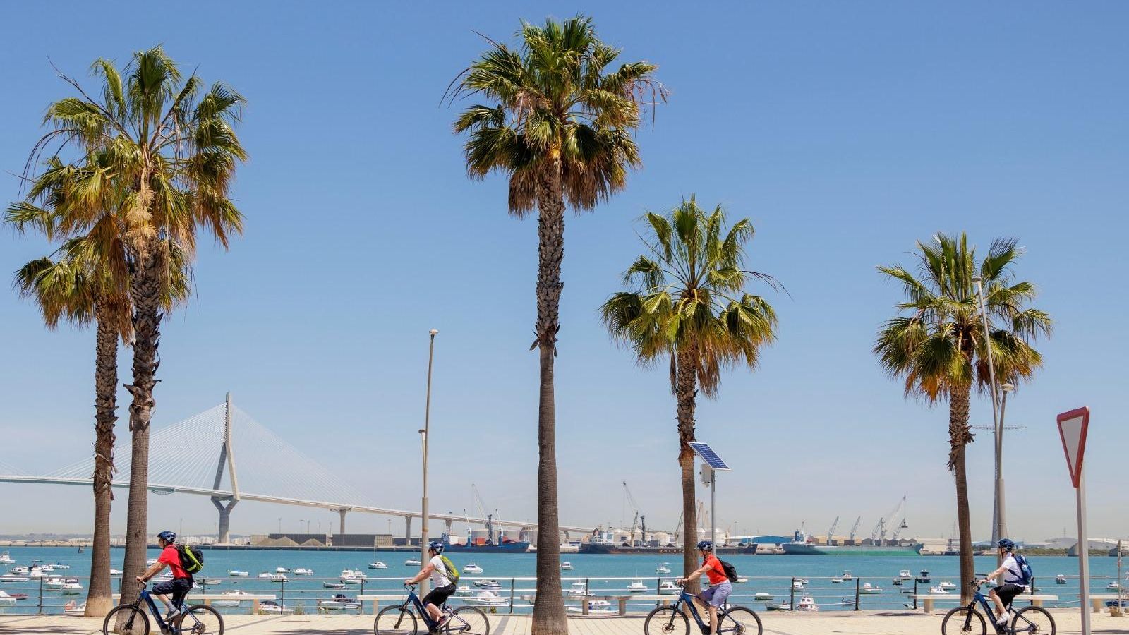 Un grupo de cruceristas se recorre en bici la ciudad.