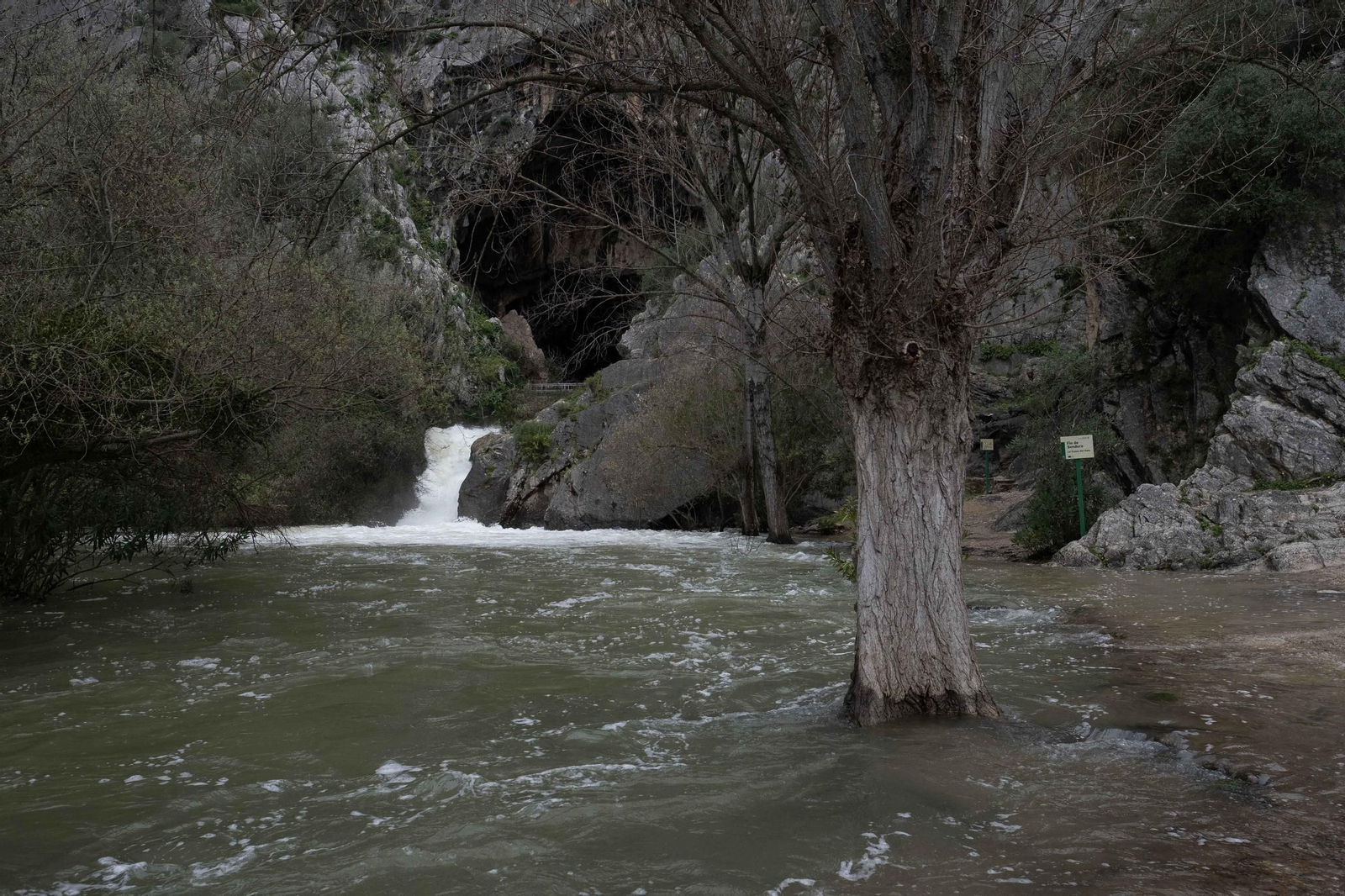 La lluvia transforma el paisaje de Málaga, en imágenes