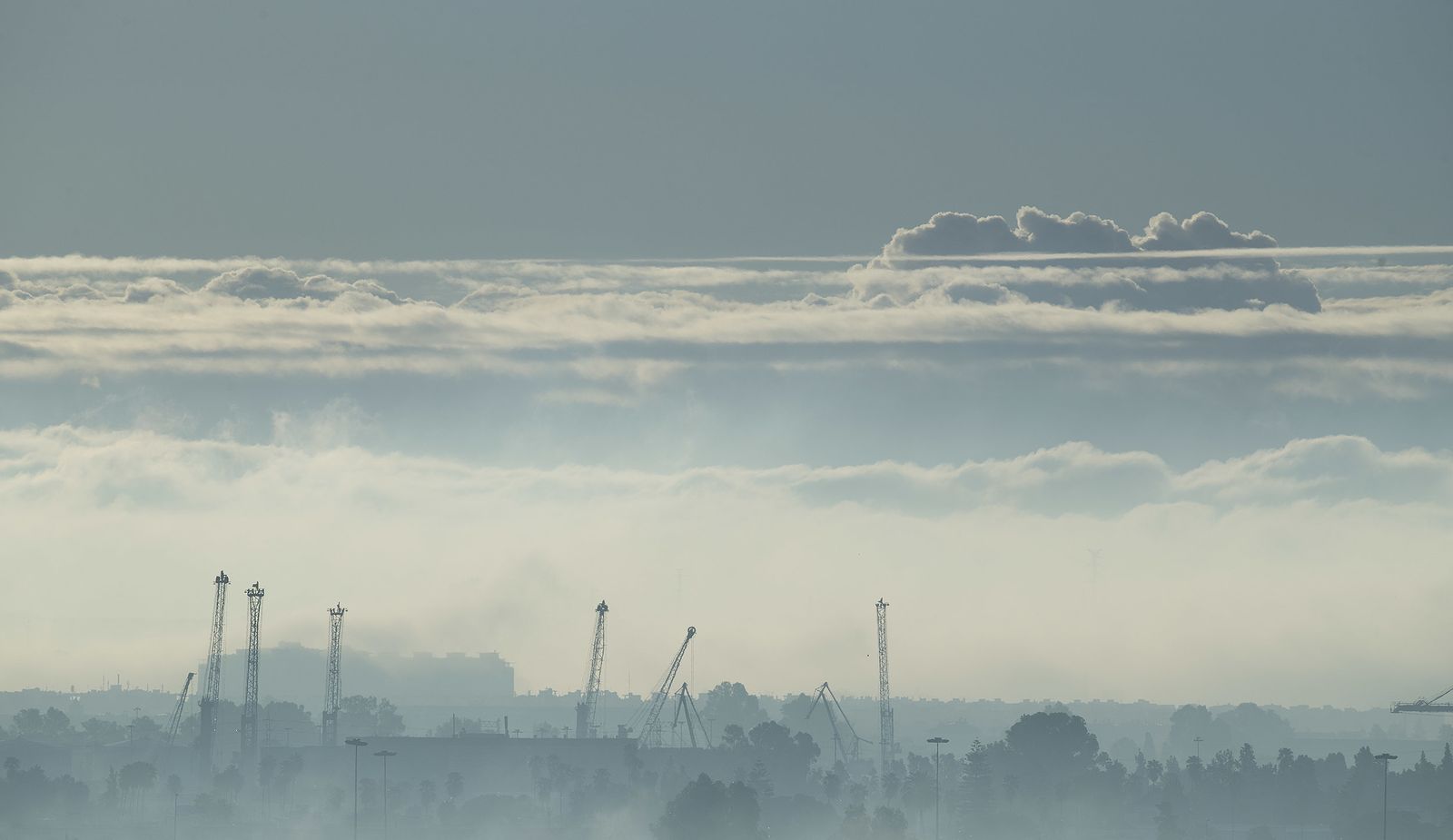 La niebla cubre Sevilla