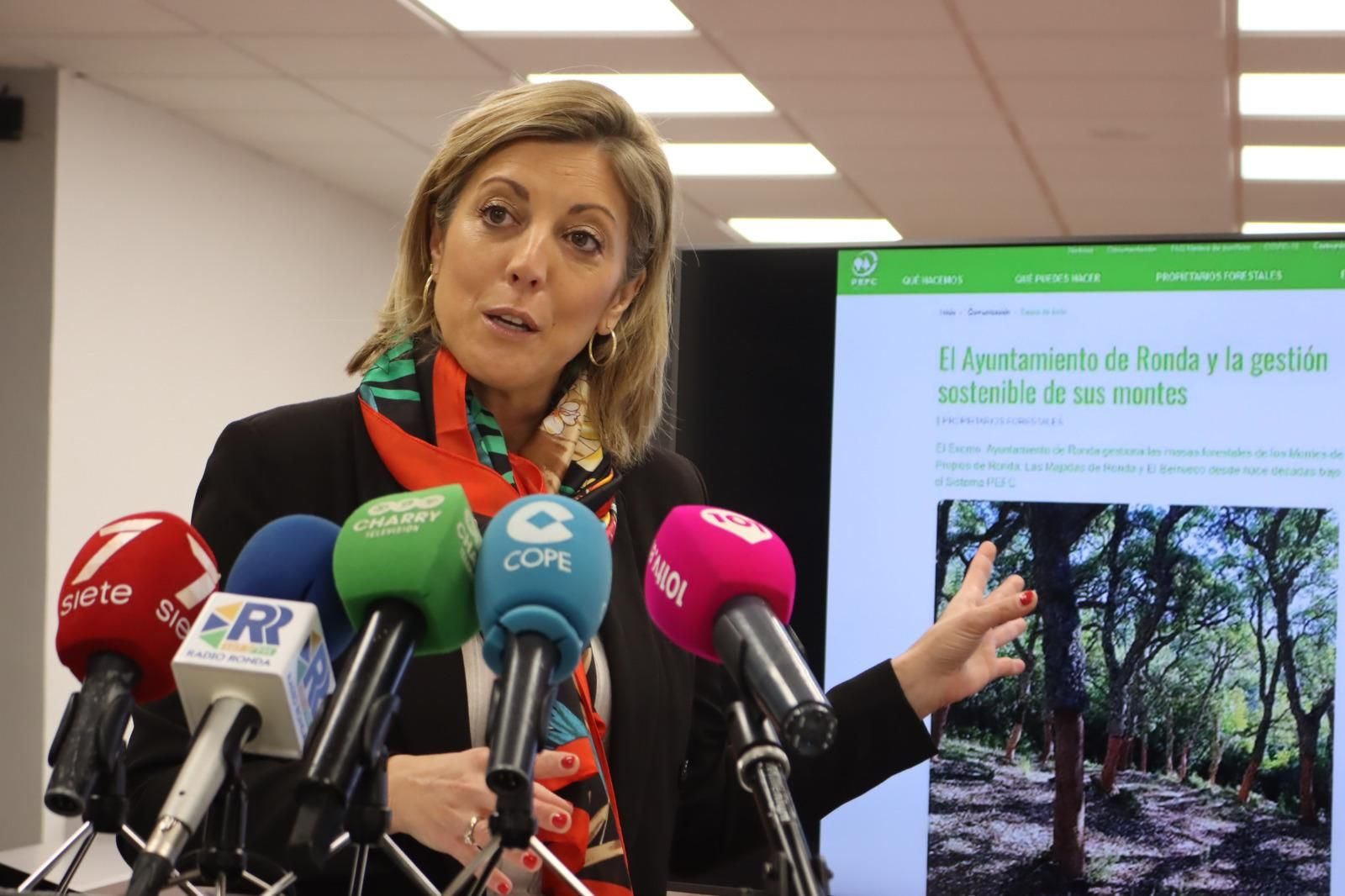 María del Carmen Martínez, delegada municipal de Contratación. María del Carmen Martínez, delegada municipal de Contratación.