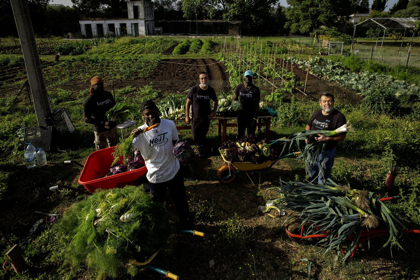 Varios migrantes trabajan en un huerto ecológico de Chiclana.