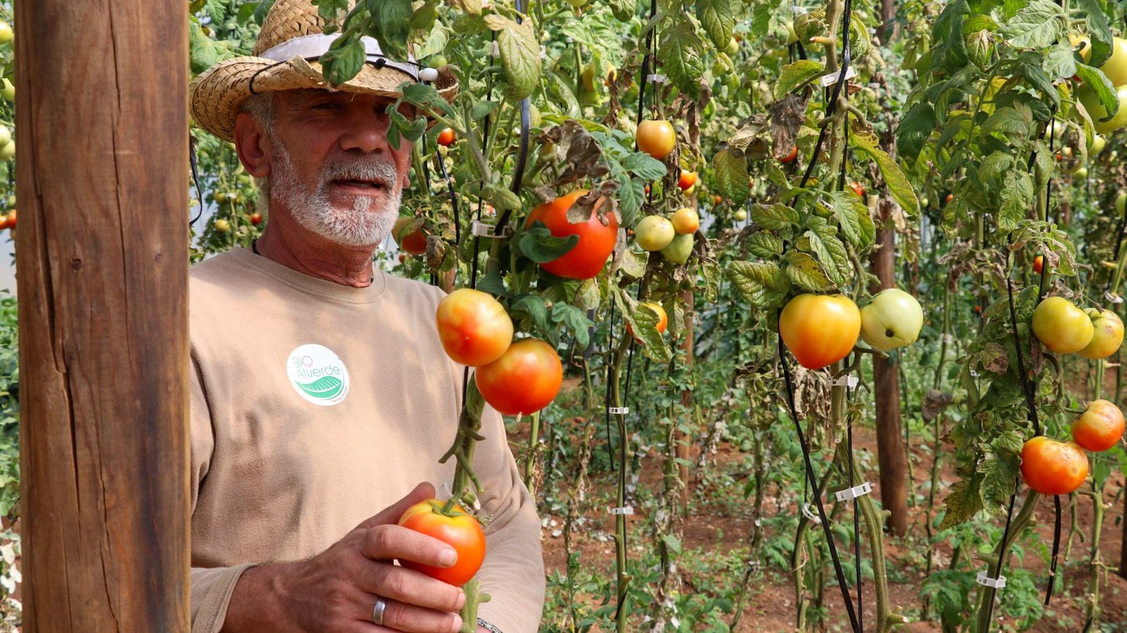 Fernando en un momento de su trabajo en Bioalverde.