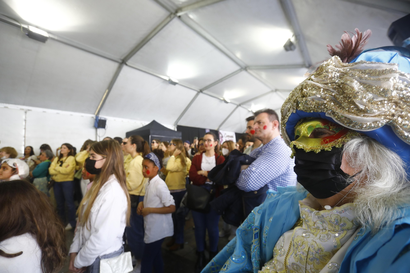 Fotografías: La quema del dios Momo pone punto y final al Carnaval de Córdoba 2022