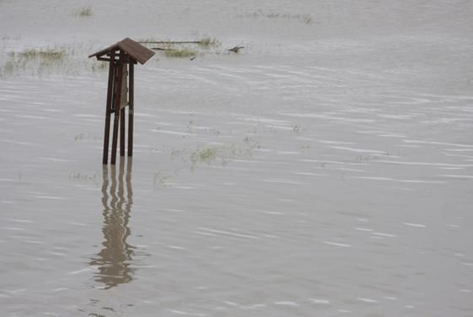 Foto: Victoria Hidalgo/Juan Carlos Muñoz