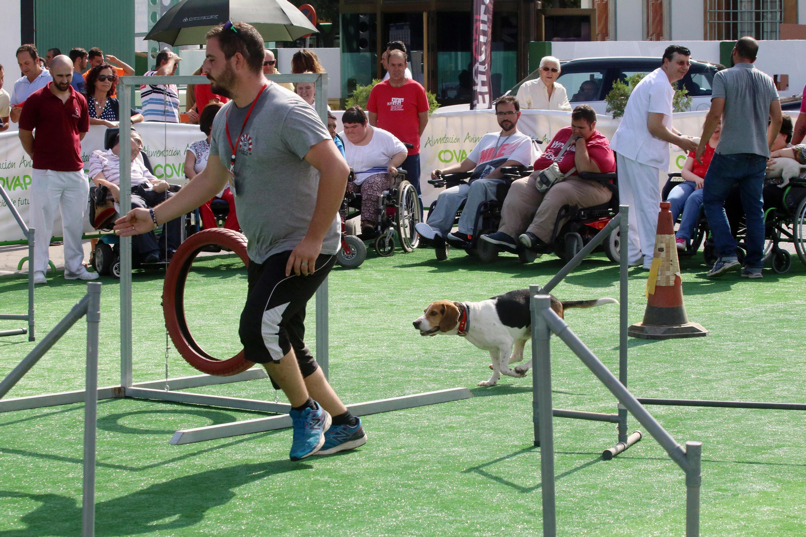 Uno de los miembros de Adecan Córdoba durante una de las exhibiciones de la ONG.
