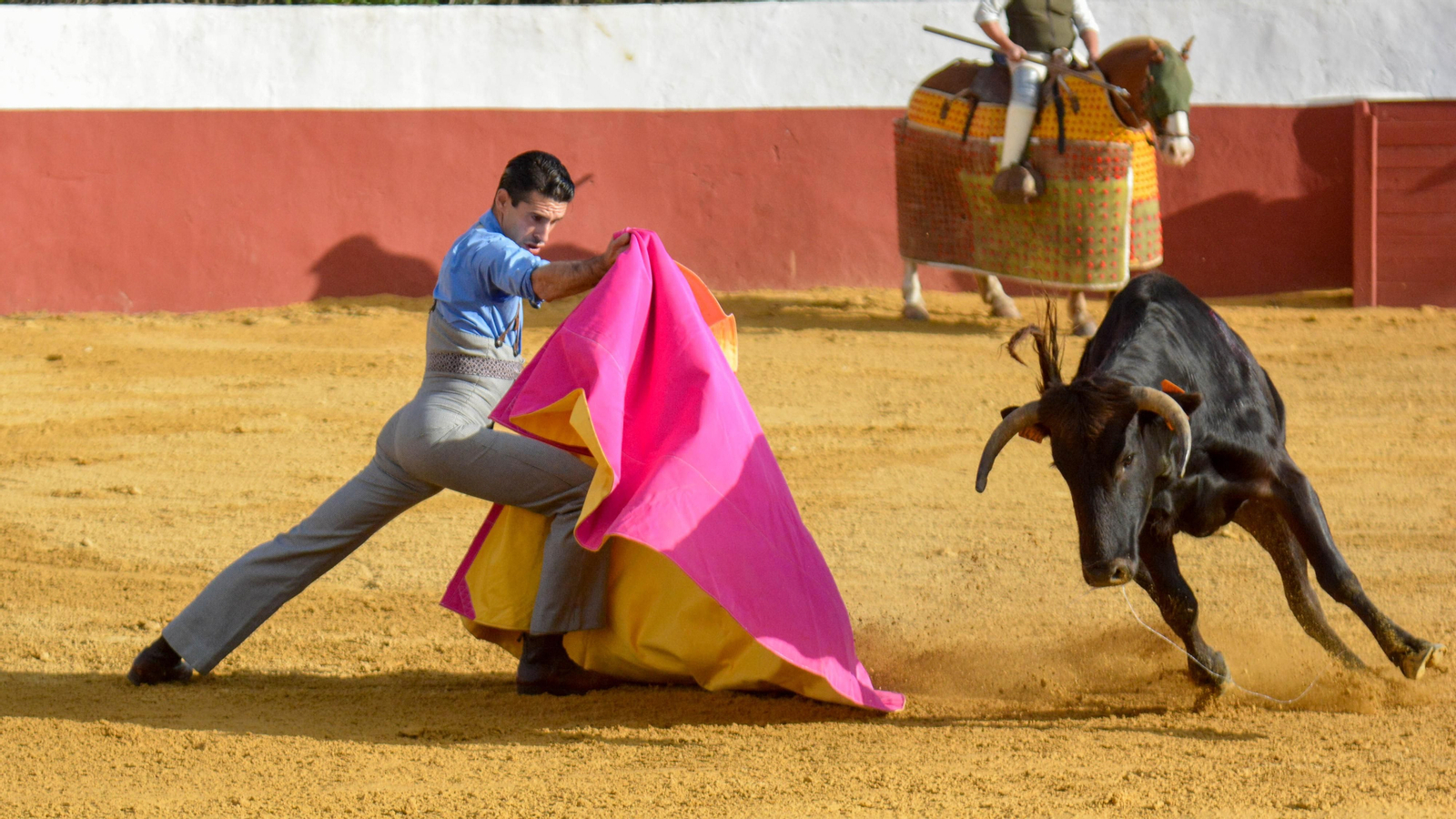 Tentadero con Talavante en la finca La Palmosilla