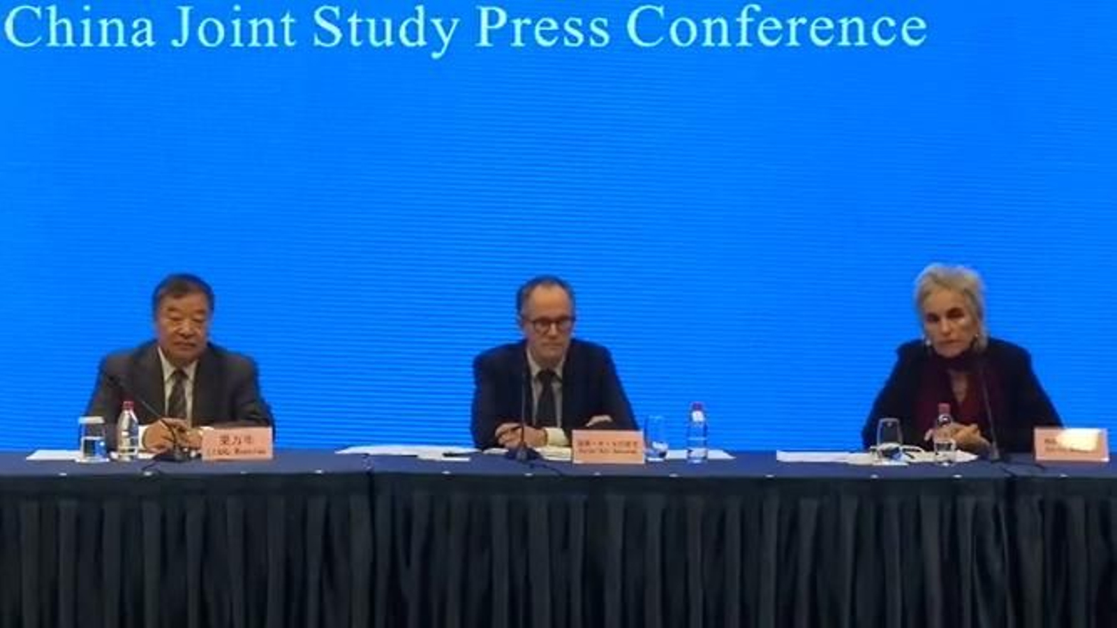 Investigadores de la OMS y del gobierno chino, en su comparecencia de este martes.