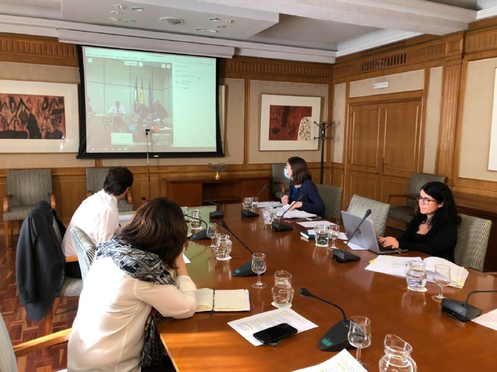 Videoconferencia entre el Ministerio de Sanidad y las comunidades.