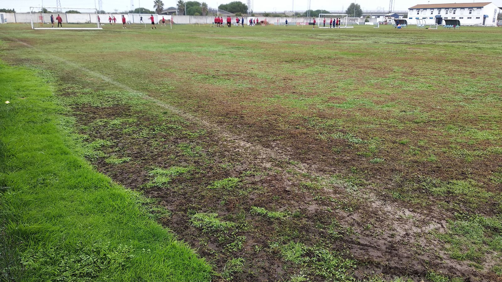 El césped de la Ciudad Deportiva del Recre