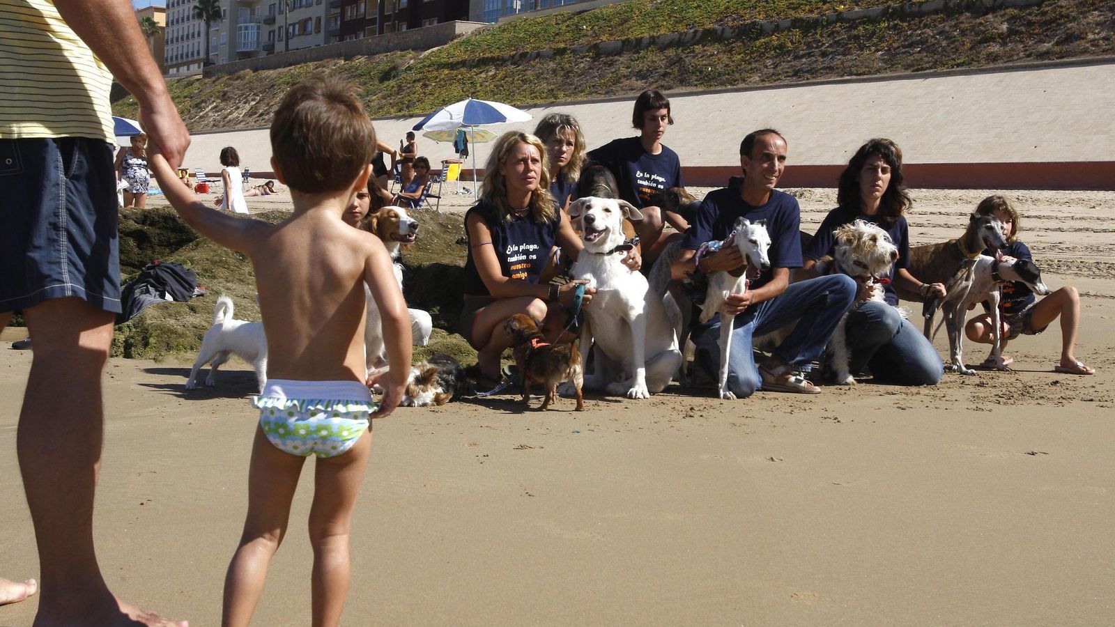 Un niño observa un grupo de perros adoptados de El Refugio, en el verano de 2013. Un niño observa un grupo de perros adoptados de El Refugio, en el verano de 2013.