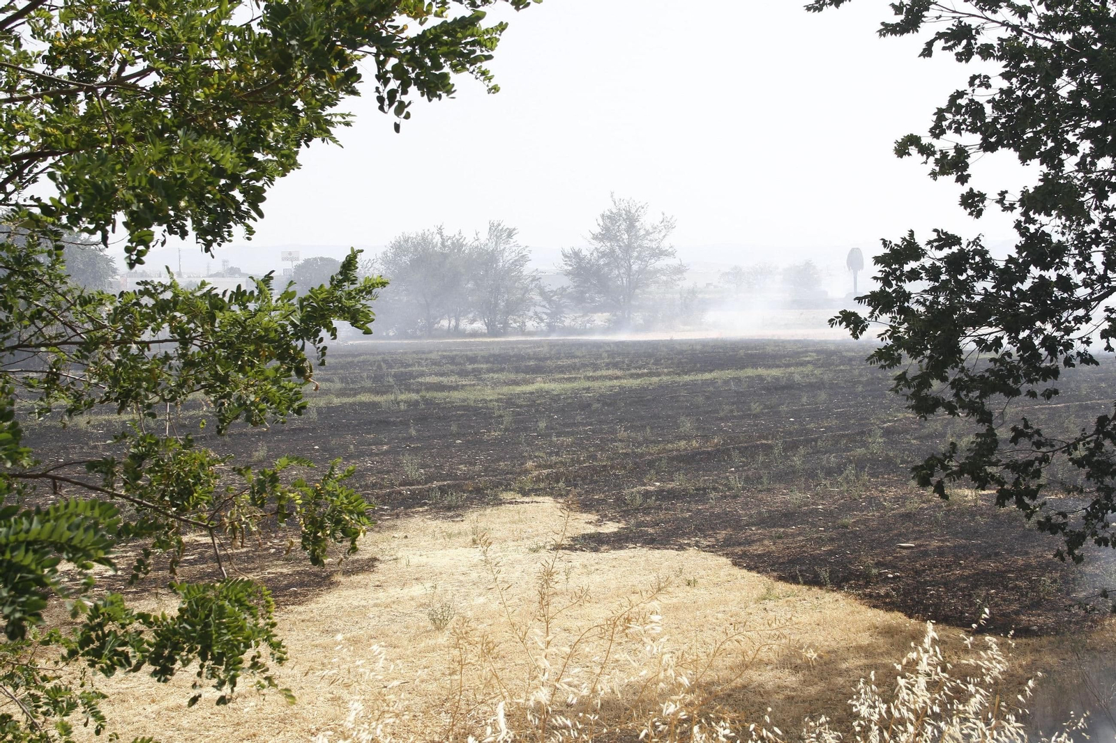 Terrenos junto a la Circunvalación donde partirá la VAU