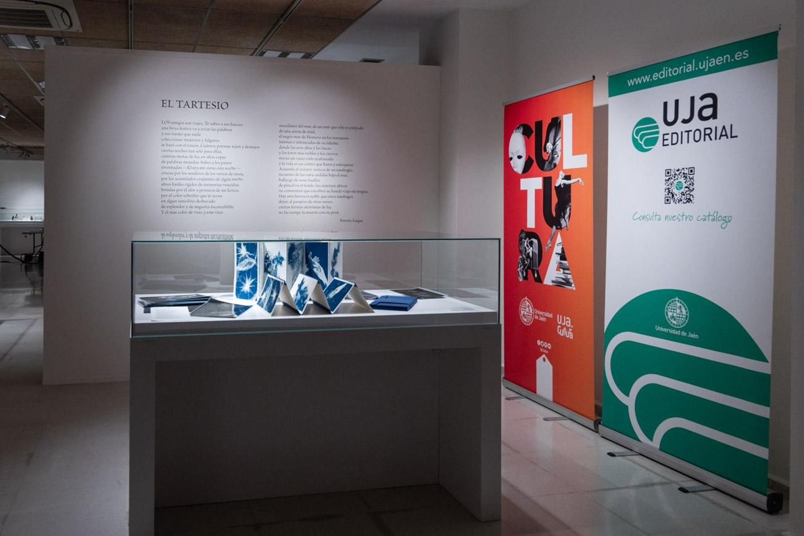 La poesía de Aurora Luque inspira la exposición 'Libros de Artista 2025'