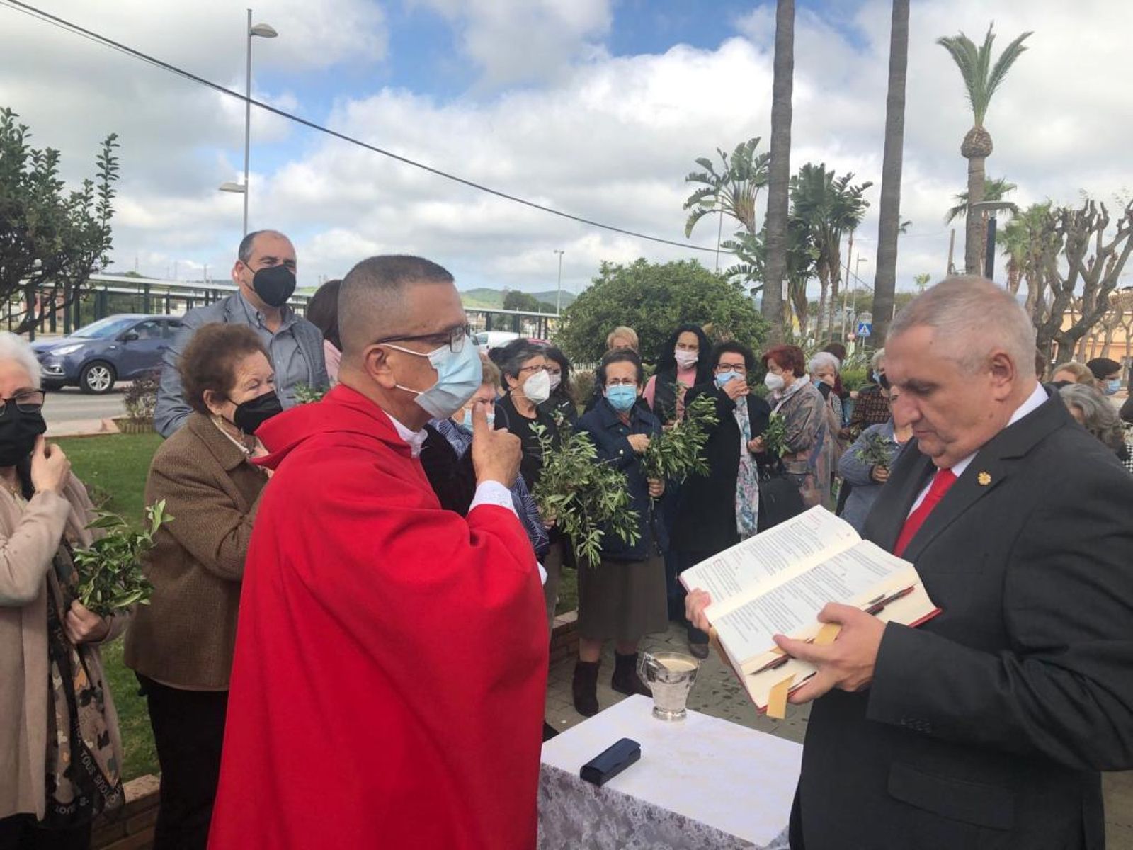 Las fotos del domingo de palmas y olivos en San Roque