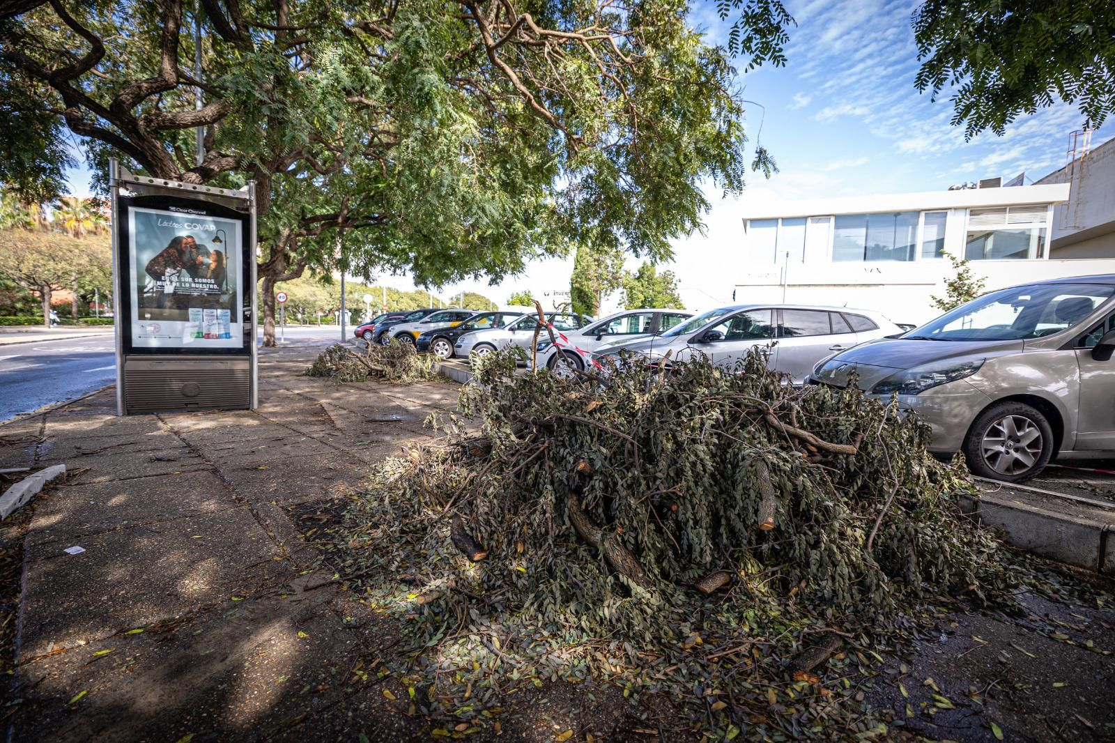 Los daños aún visibles del temporal Bernard en Cádiz
