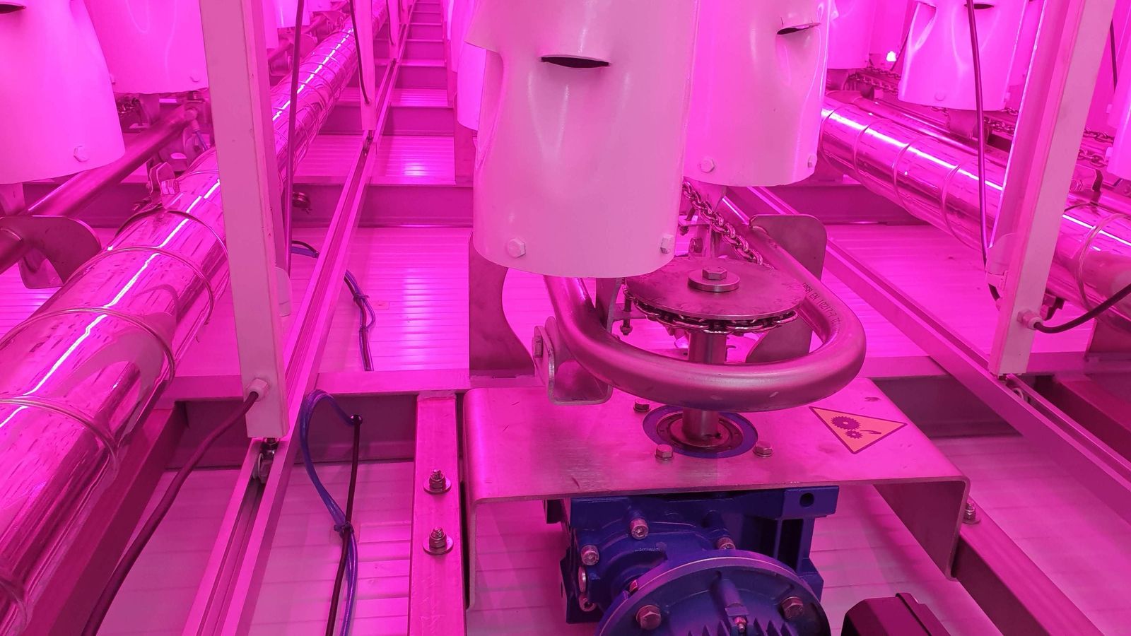 Interior del Green Shelter.