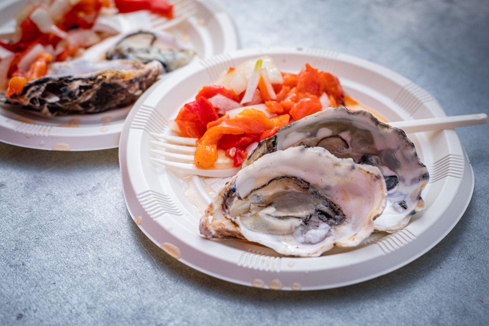 Búscate entre las mejores imágenes que ha dejado la Ostionada Popular