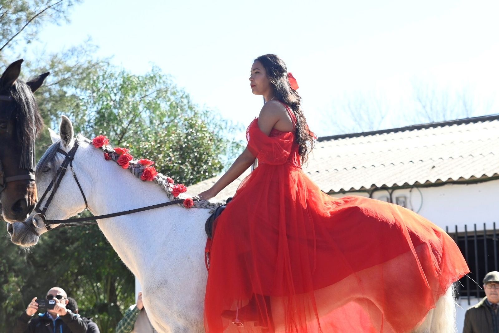 Las mejores fotografías la Marcha Hípica 'Córdoba a Caballo' por el 28F