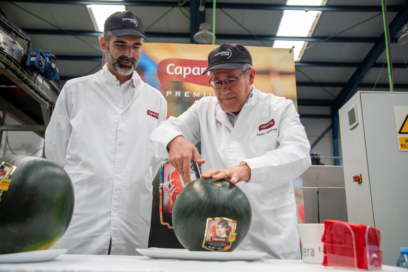 Vea cómo es el trabajo con las fantásticas sandías Premium en Grupo Caparrós