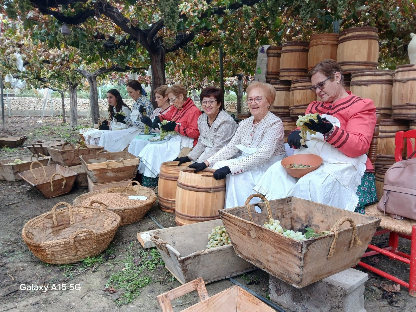 Mujeres en la tarea de limpieza de la uva en el Parral de Terque.